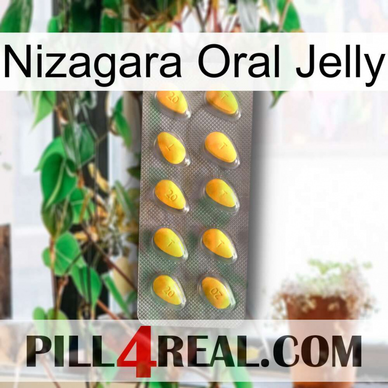 Nizagara Oral Jelly cialis1
